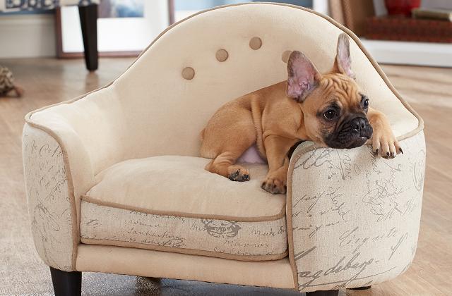 O sofá é realmente um bonito acessório