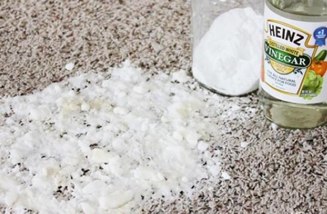 Remédios naturais anti-mofos