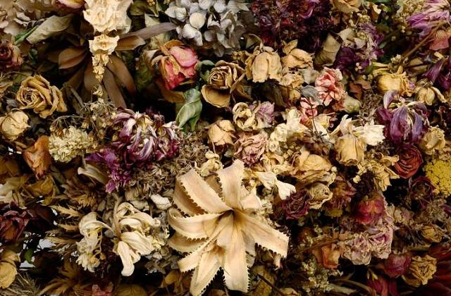 Ter flores frescas e perfumadas na sala de estar?