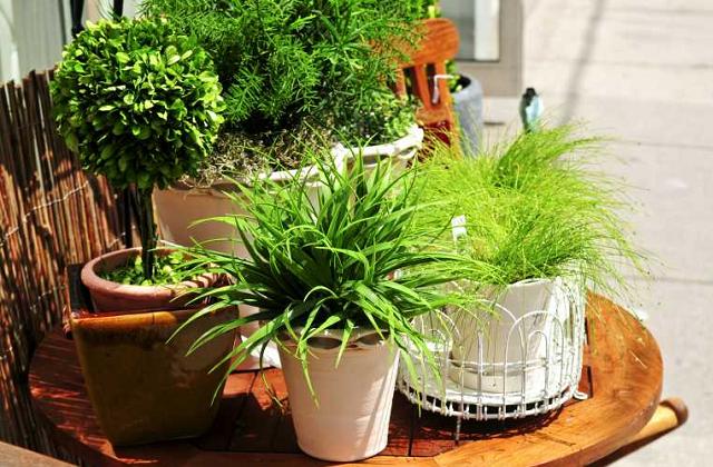 Então, como  fazer para combater a poluição do ar e doméstico?