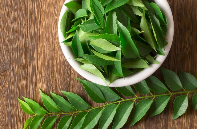 Salvia, uma planta milagrosa