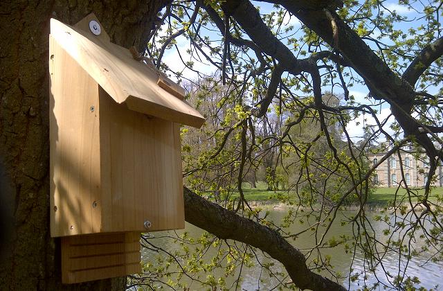 criar a nossa própria bat -box