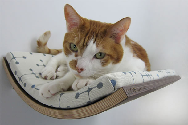 Uma meia-lua em formato de prateleira