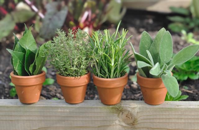 Escolha a área mais ensolarada da sua varanda