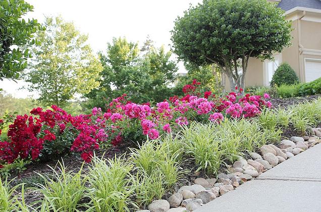 Delinear a calçada da entrada com suas flores favoritas