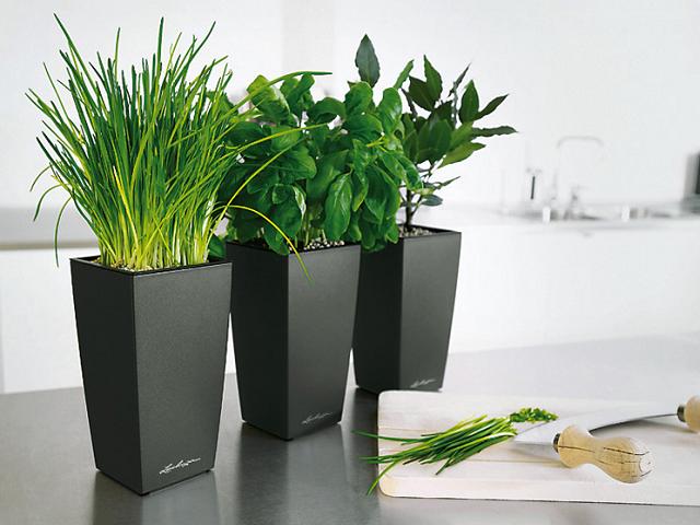 São projetados para dar lugar a elegância e conforto