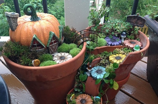 Como construir mini jardins em potes quebrados