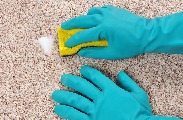 O produto natural para limpar os tapetes de casa