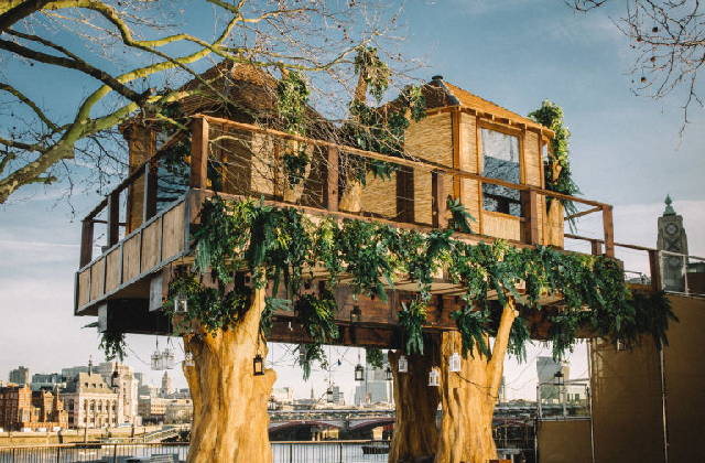 Porque existe uma casa da árvore no centro de Londres?