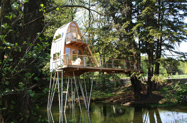 casas nas árvores habitáveis