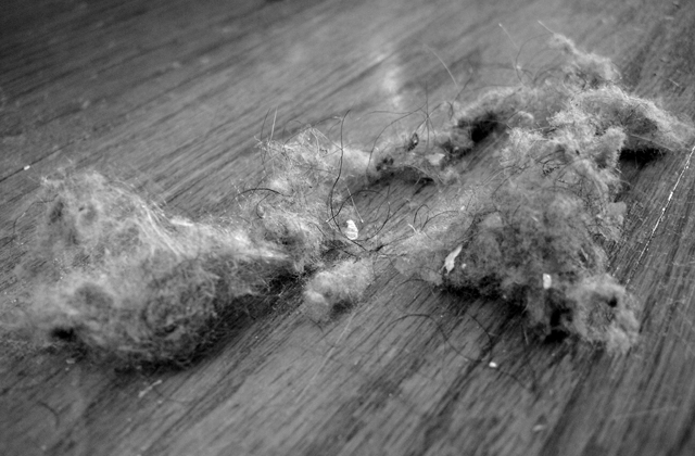 reduzir a poeira em casa