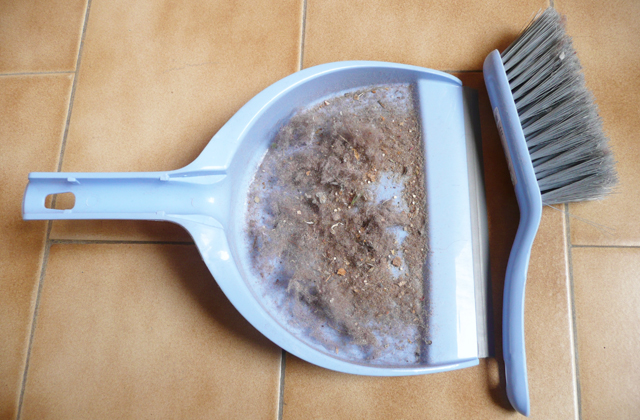 acumular até mesmo a poeira