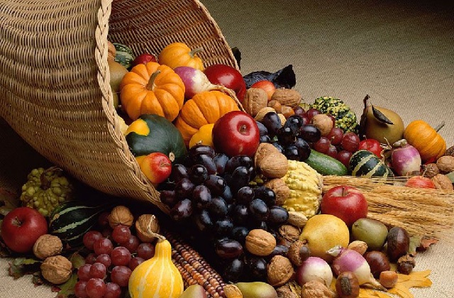 tomates não maduros