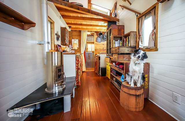 Os dois jovens têm acumulado centenas de fotografias