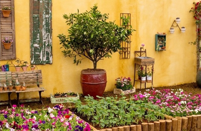 decorar um pequeno jardim
