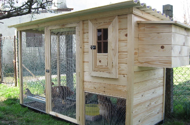 Seria conveniente que o galinheiro seja colocado um pouco de distância da casa