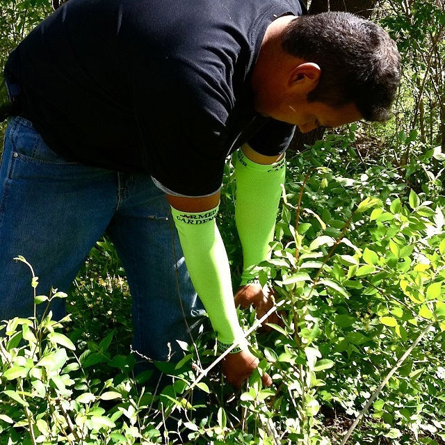 ArmedGardener cobre braços