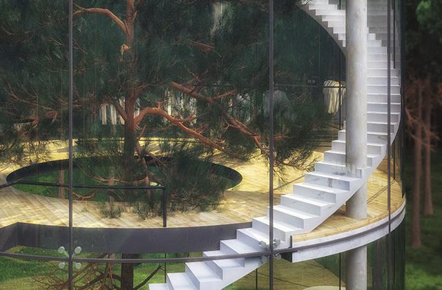 moderna casa da árvore