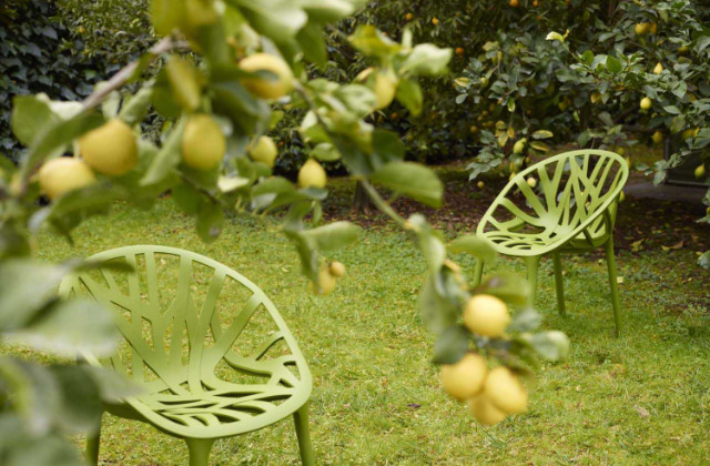 Vegetal Chairs da Vitra