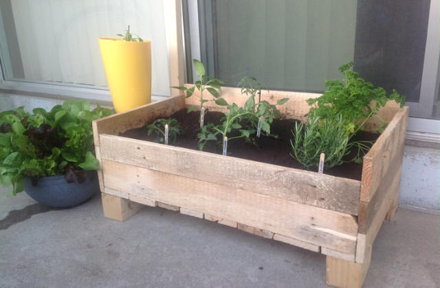 Faça você mesmo: como construir uma caixa para cultivo das flores