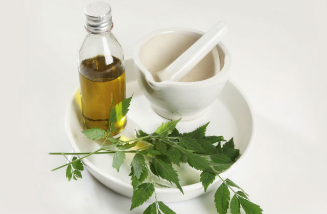 Propriedades e usos do óleo de nem