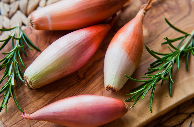 Cebolinha: propriedades, benefícios e usos na culinária